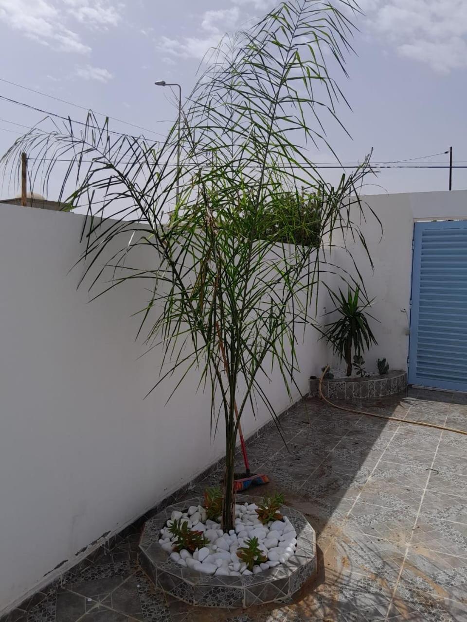 Studio Rouge Cosy A Dar Lili Djerba Mezraia Εξωτερικό φωτογραφία